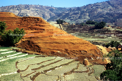 Rice Terrace, Hills, mountains, Kathmandu Valley