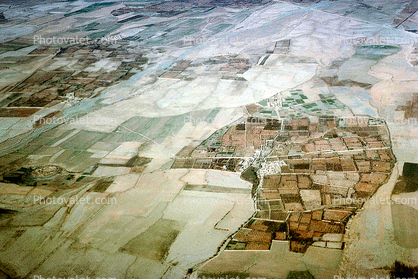 Farmlands, Baghdad, 1950s