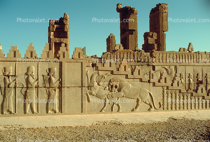 bar-Relief, Lion tearing into an animal, eating, predation, Persepolis, 1950s