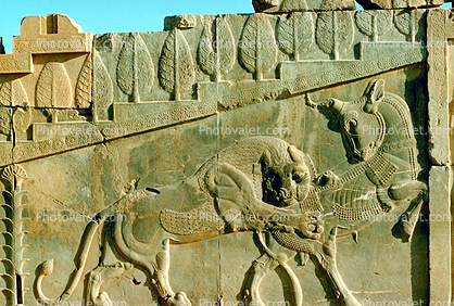bar-Relief Lion tearing into an animal, Persepolis, 1950s