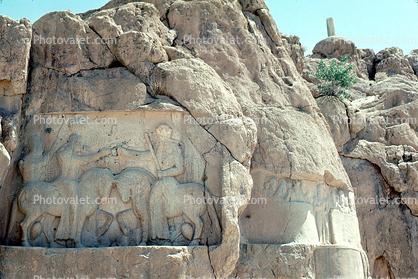 Horses, bar-Relief sculpture, Naqsh-e Rustam, Necropolis, Marvdasht cultural complex, Landmark, Fars province, Iran