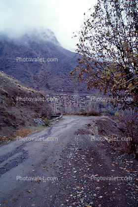 Nejar, Dirt Road, Tree, unpaved
