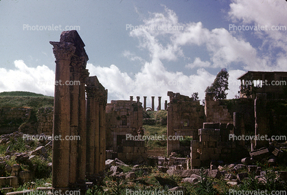 Columns, ruins, Jerash, Gerasa of Antiquity, Greco-Roman city of Gerasa, Jordan