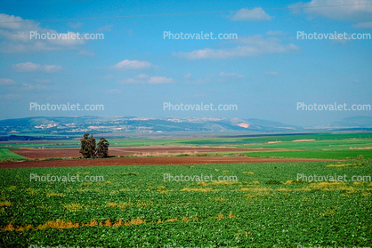 Nazareth, Yizreel Valley