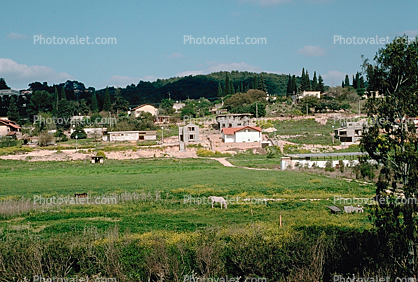 Yizreel Valley