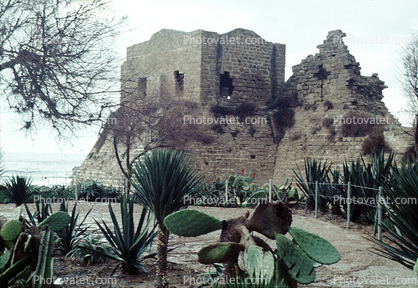 Ceaseria, Ruins