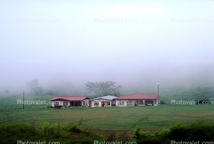 Homes, houses, fog, Naranjo, Costa Rica