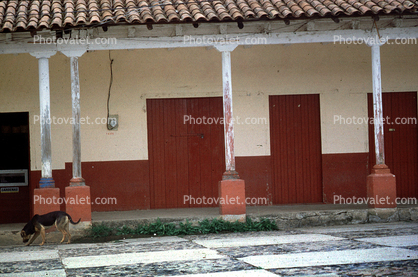 Porch, posts, dog, Zitacuaro, Michoacan