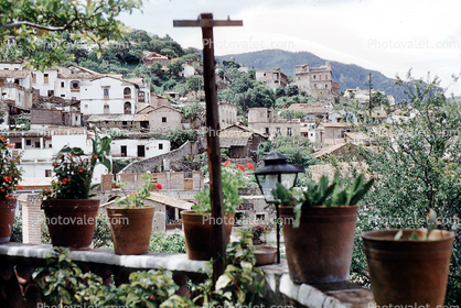 cityscape, flowers, homes, houses, hillside, hills, buildings, Taxco