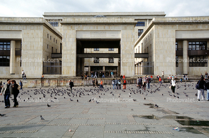Pigeons, building, Bogota, city