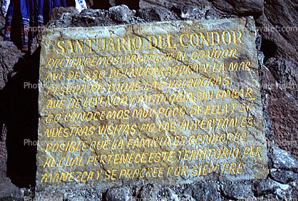Santuario Del Condor
