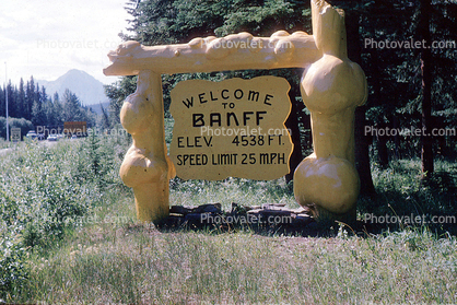 Welcome to Banff, Thick Burly Wood