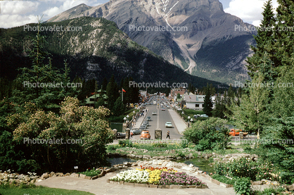 Banff Avenue, flower garden, trees, cars, automobiles, vehicles, 1950s