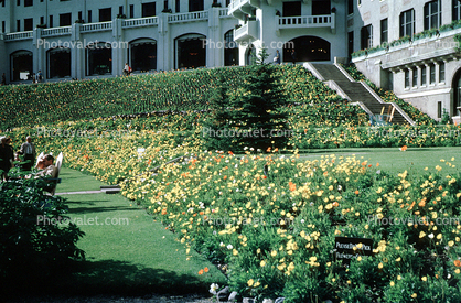 Chateau Lake Louise Hotel, Building, Lawn, Garden, Banff