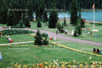 Lake Louise, Mountains, Forest, Lawn, Path, Flowers, Banff