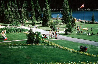 Lake Louise, Mountains, Forest, Lawn, Path, Flowers, Banff