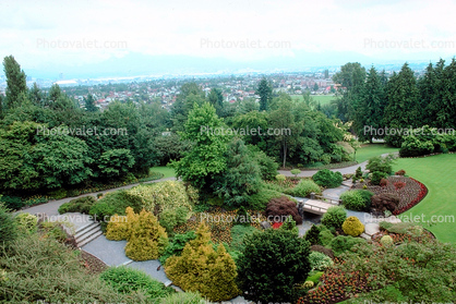 Garden, flowers, Vancouver