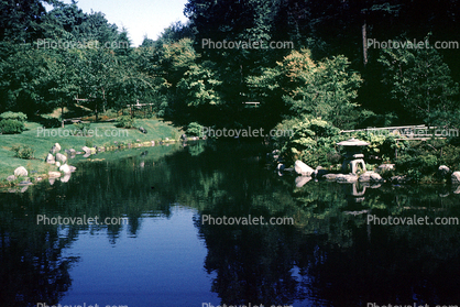 Pond, Nitobe Memorial Garden, Vancouver