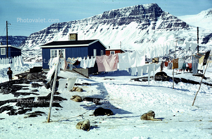 Homes, houses, laundry line, cold, ice, snow
