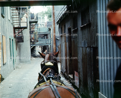 Alley, Alleyway, June 1964, 1960s