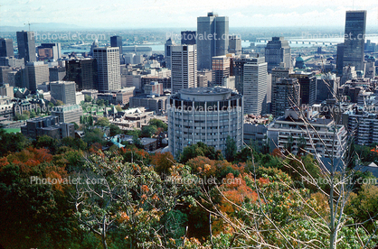skyline, buildings, Montreal