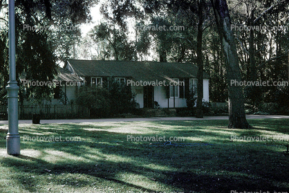 Home, House, lawn, building, trees, April 1982