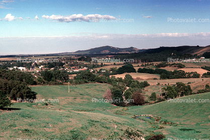 west of Foster, April 1982