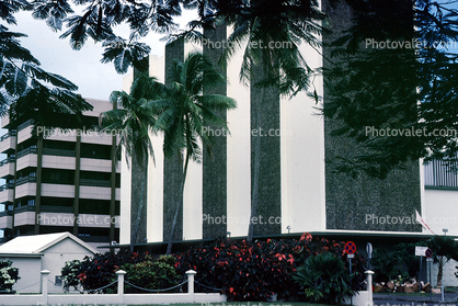 Civic Center, Buildings, Suva