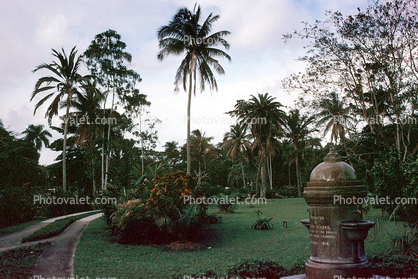 Water Fountain, aquatics, Albert Gardens, Suva