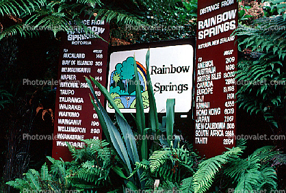 Rainbow Springs, Rotorua