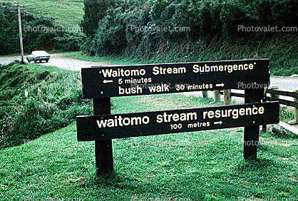 Waitomo Stream Submergance, Rotorua