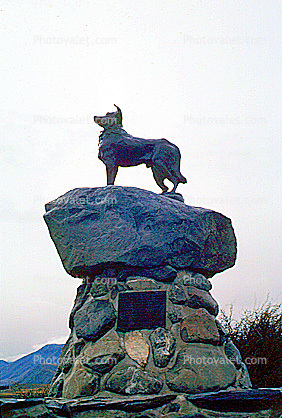 Collie Dog, Monument, Mackenzie County
