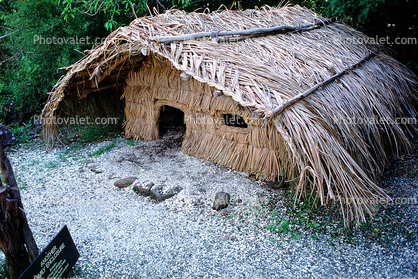 Grass Home, Hut, Maori Village, Thatched Roof House, House, Coromandel Peninsula, building, Sod