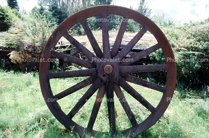 Punakaki, Round, Circular, Circle, wagonwheel