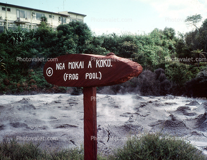 Rotorua, mud pots, geothermal feature