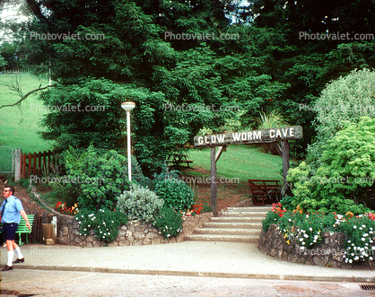 Glow Worm Cave entrance sign, steps, stairs, garden, flowers, trees