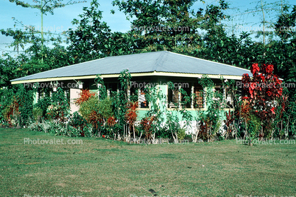 home, house, bush, building, Fale, Upolu, Samoa