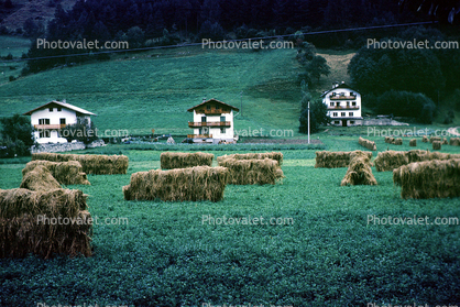 hay, bales, grass, houses, homes, rural, Buildings, fields