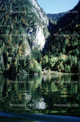 Forest, Lake, reflection, Konigsee