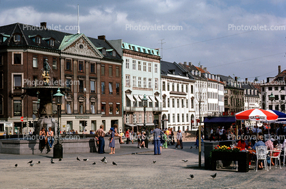 Water Fountain, aquatics, pigeons, buildings, Copenhagen