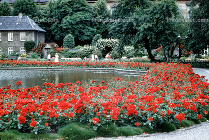 Flower Garden, Pond, trees