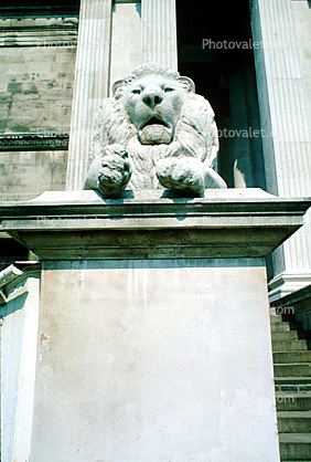 Stone Lion Statue, Sculpture, Fitzwilliam Museum, Cambridge, England