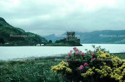 Flowers, mountains, building, Castle, Scotland
