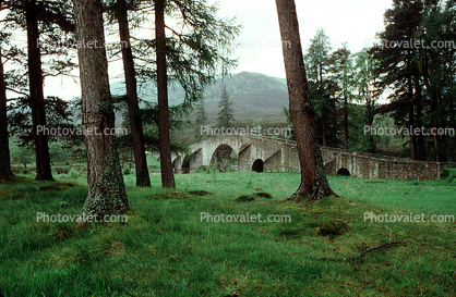 Forest, Bridge, Balmoral Castle, Aberdeenshire, Scotland