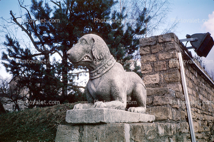 Statue, Statuary, Sculpture, collar, paws, angry dag, 1950s