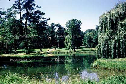 Le Haneau, Trees, Pond, Reflection, Gardens