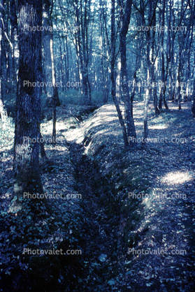 Belleau Wood, American Trench, WWI, Forest, Thierry, 1964, 1960s