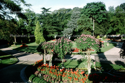 Lawn, Garden, Trees, Chateau