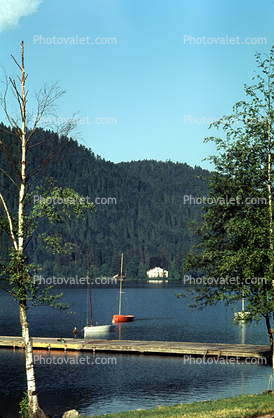 Dock, Lake, Trees, Mountain