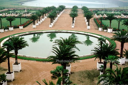 Chateau, pond, Palm Trees, walkway, Gardens